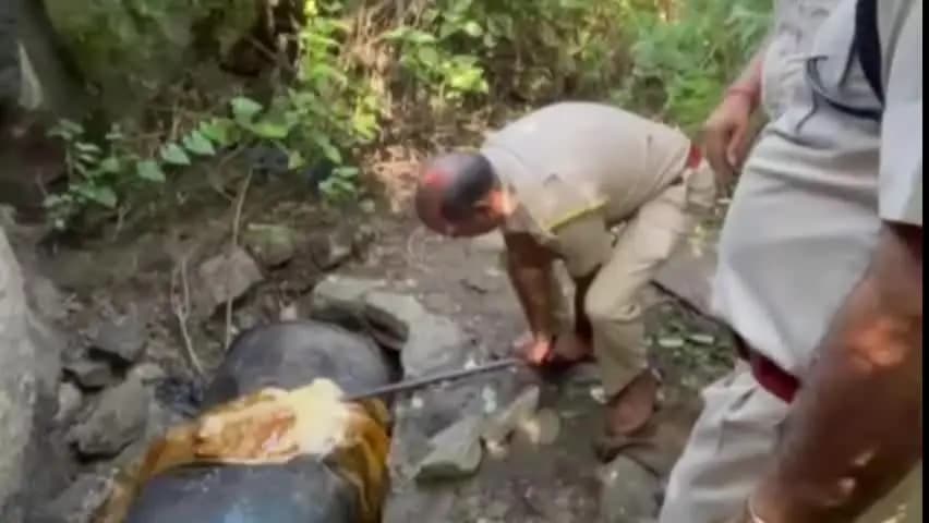 अजमेर: बोराज गांव की पहाड़ी पर आबकारी पुलिस ने की बड़ी रेड, तीन शराब भट्टियां की नष्ट