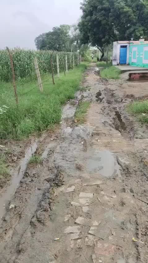 monu dadariya karkoli Bari