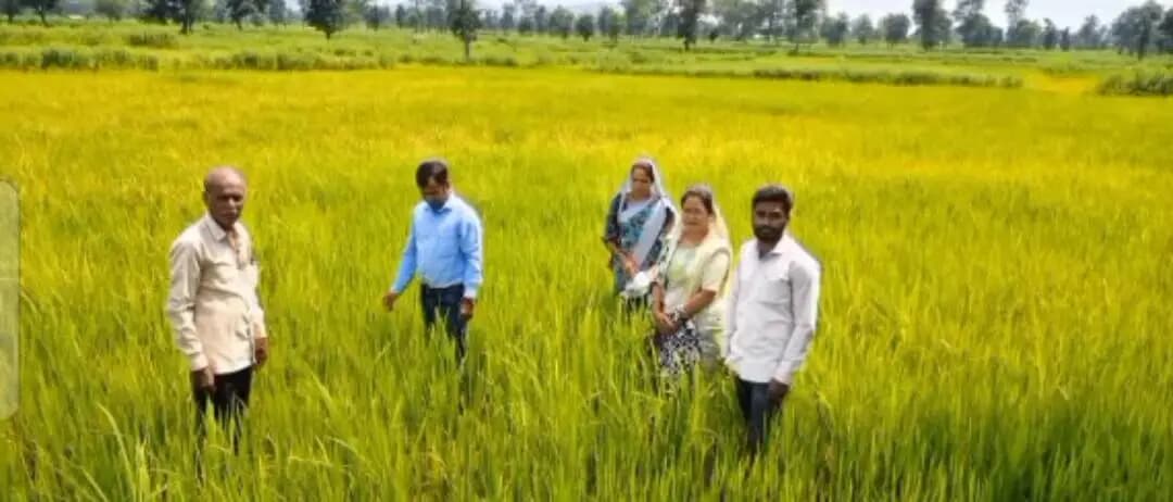 बालाघाट: हरदोली-केशलेवाड़ा में कृषक चौपाल, प्राकृतिक खेती से कीट नियंत्रण की दी जानकारी