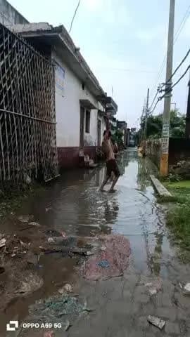 पावर हाउस कॉलोनी पेट्रोल पम्प के सामने वाली गली की ये हालत है को नहीं सुन रहा है ना मेहबर ना चेयरमैन न ही विधायक सुन रही