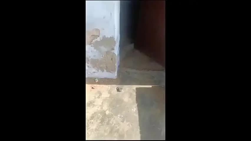 नांगल चौधरी: नांगल चौधरी में चार ट्यूबवेलों की केबल चोरी, किसानों को 90 हजार का नुकसान