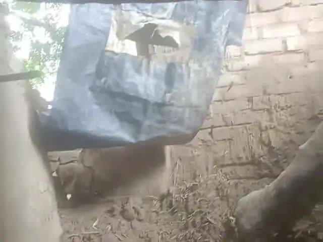 ग्राम पंचायत तरगांव में घर गिर रहा है ना घर गिर गया है ना रहने की जगह है ग्राम प्रधान से का है वह भी नहीं सुनना हैफोटो ख