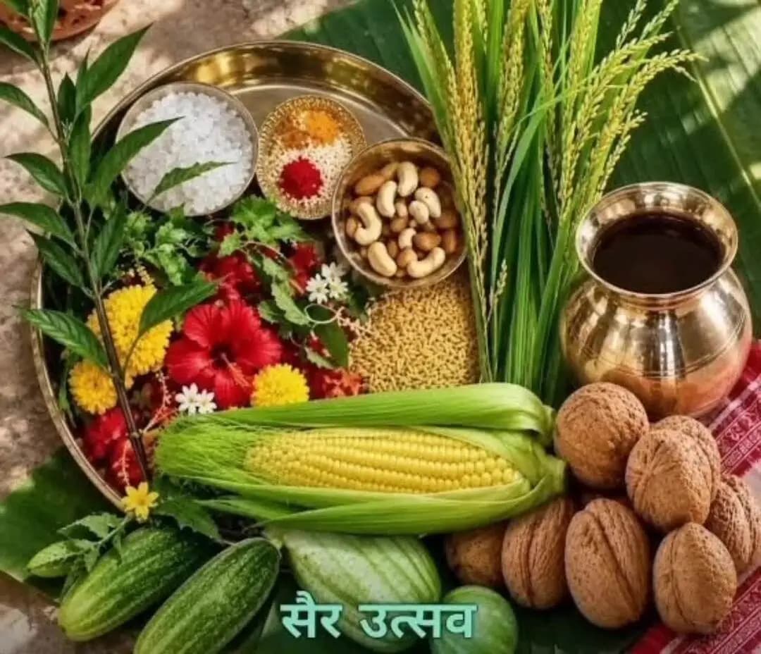 पारंपरिक सैर उत्सव (सायर)
दिल्ली NCR के हिमाचलियों की तरफ से सभी प्रदेश-देश व प्रवासियों को बधाई एवं शुभ:कामनाएं।
(BC)