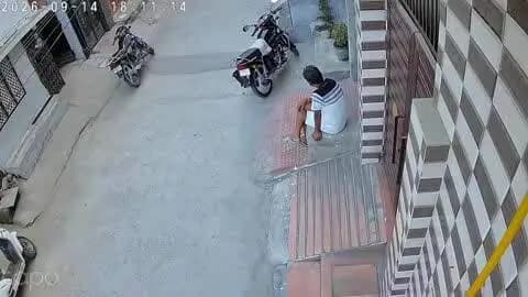 सोनीपत: गली में निकले 6 माह के मासूम पर पालतू कुत्ते का हमला, चेहरे-पेट समेत शरीर पर काटा