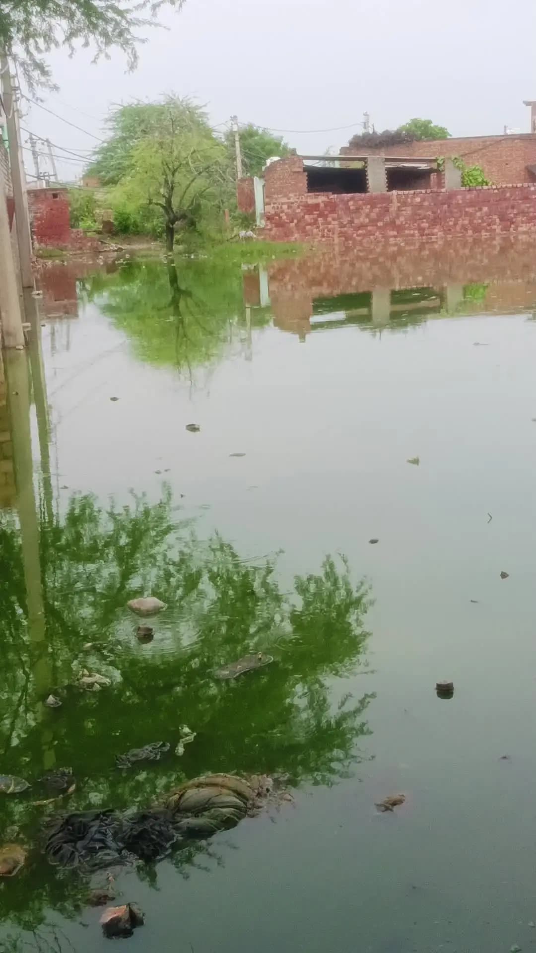 जिला आगरा तहसील किरावली विलोक फतेहपुर सीकरी के पास गांव सिकरौदा की हालत है जो डागुर ठोक के लिए रास्ता जाता है जो रास्ते