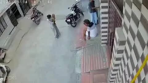 रोहतक: सोनीपत में पिटबुल डॉग ने 7 माह के बच्चे को दबोचा, काटने से आंत तक निकली; PGI में इलाज जारी