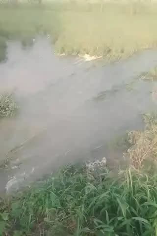 gaon nagla lale me khndhi ho chuki hai or yaan kisahno ka baare nuksan ho chuka hai
or yaan koi bhi sunvayi nahi kar r