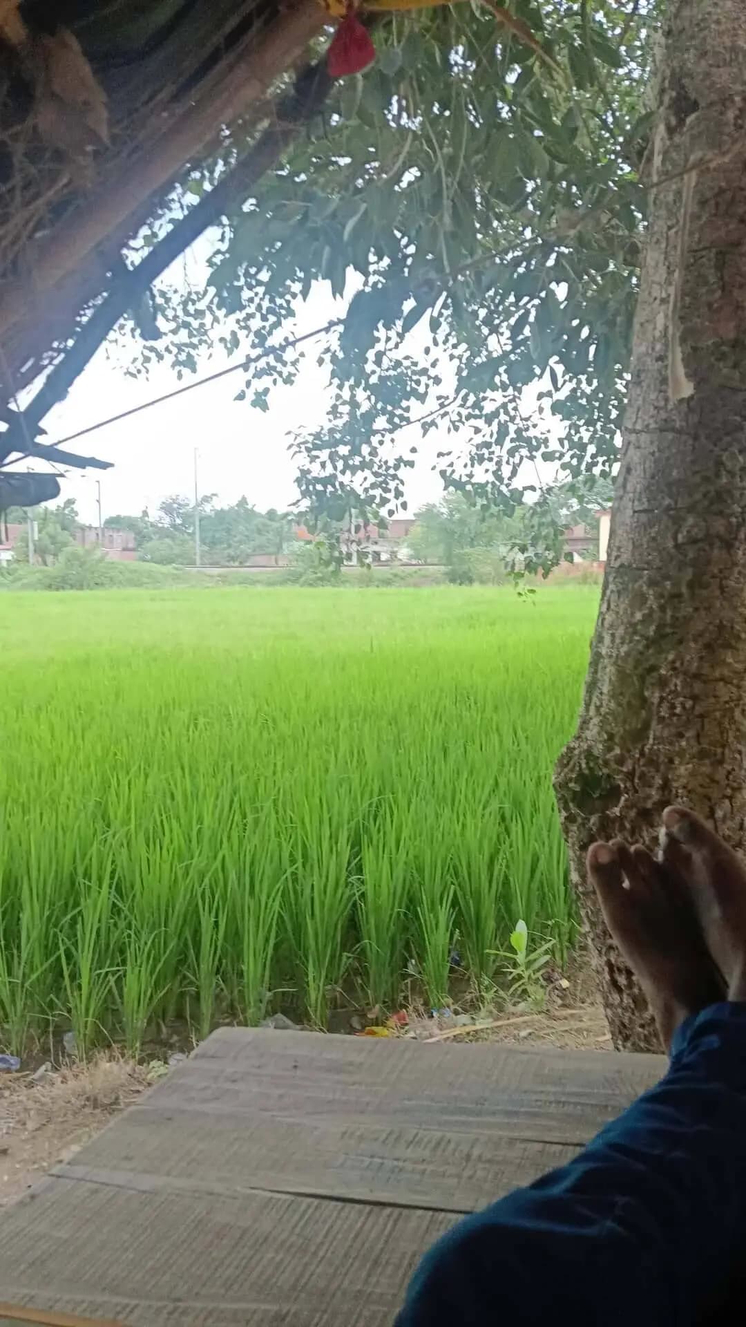 2026 is bhai ki hui hai achhi fasal
