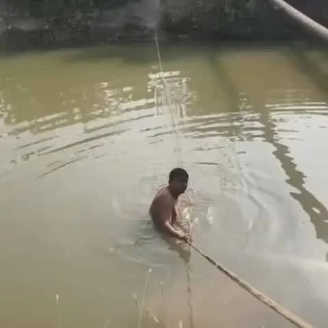 तारानगर: तारानगर के खेत में कृषि कार्य के दौरान नहर में डूबने से किसान की मौत, गोताखोर नरेंद्र सांगवान की 226वीं सेवा
