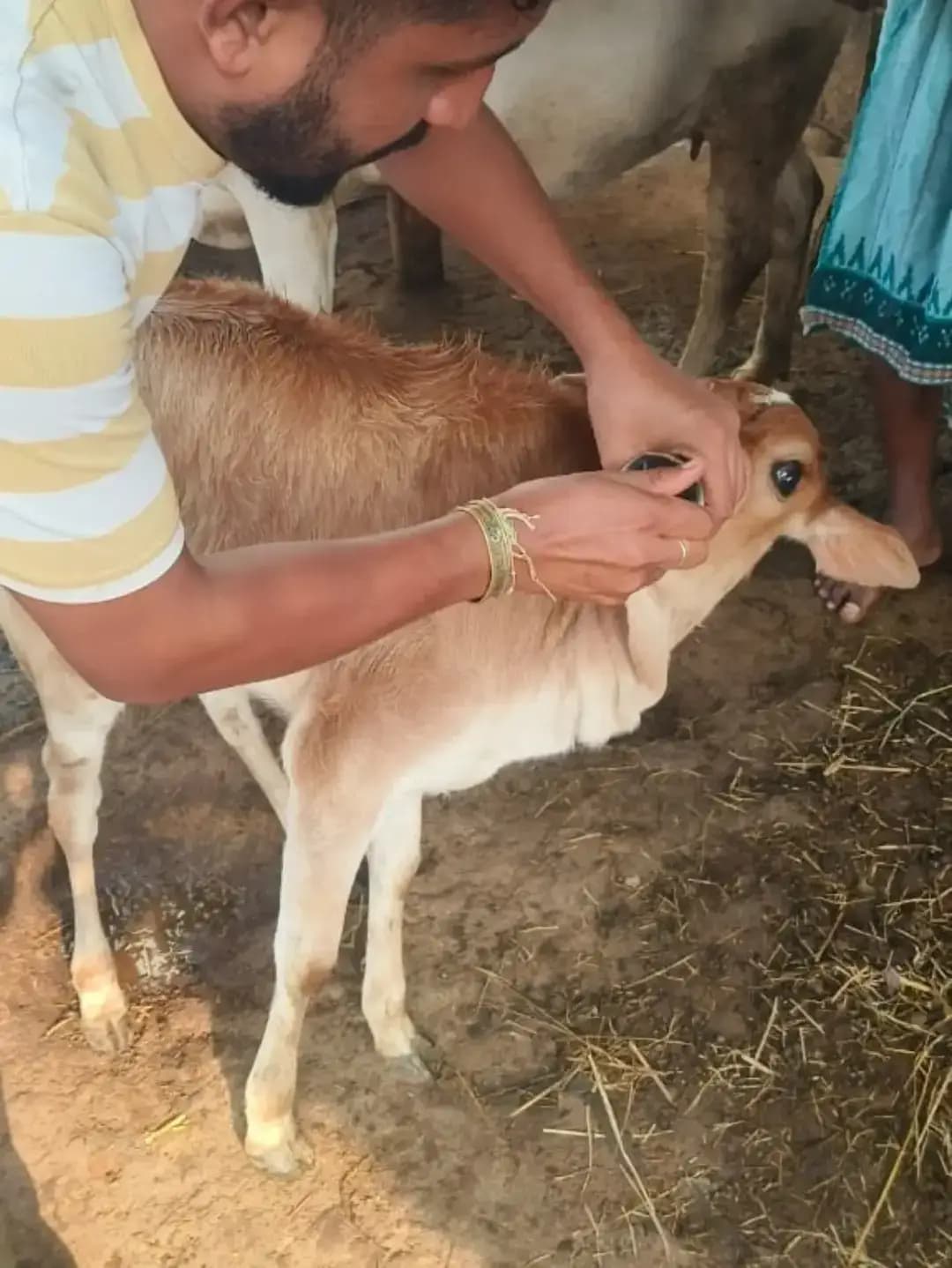 सेवा संकल्प अभियान के अंतर्गत ग्राम पंचायत मुंगझर में पशु चिकित्सा एवं टीकाकरण शिविर का आयोजन किया गया। शिविर में पशुपालकों को आवश्यक पशु चिकित्सा सेवाएं एवं टीकाकरण की सुविधा प्रदान की गई।
सेवा, संवेदना और जनकल्याण के संकल्प के साथ जिला प्रशासन निरंतर ग्रामीण क्षेत्रों तक सुविधाएं पहुंचाने के लिए प्रतिबद्ध है।