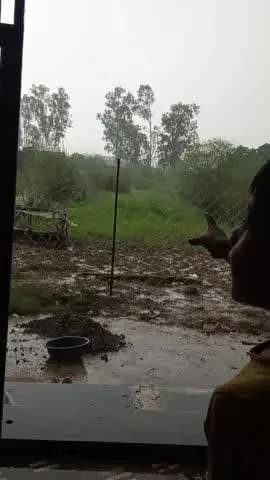 गोटेगांव में बहुत तेज बारिश हुई आज