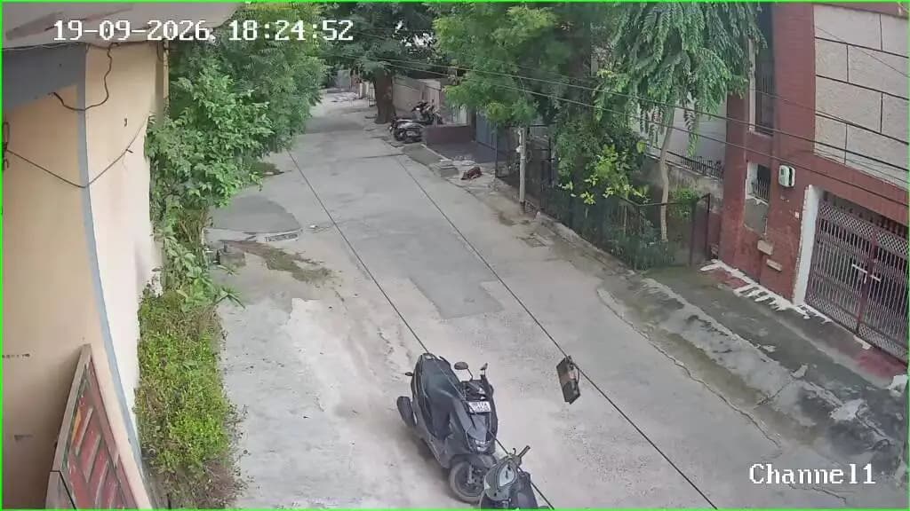रोहतक: रोहतक में आवारा कुत्ते ने महिला पर किया हमला, सीसीटीवी में कैद हुई घटना