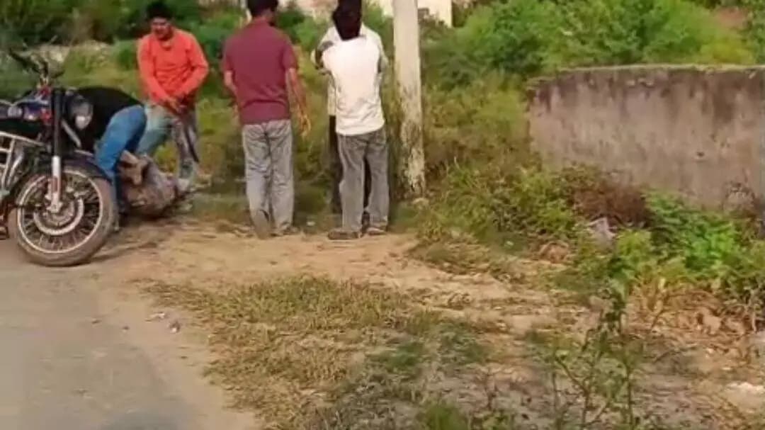 मथुरा: शराब के नशे में दोस्तों ने युवक की जमकर पिटाई की, वीडियो सोशल मीडिया पर हुआ वायरल