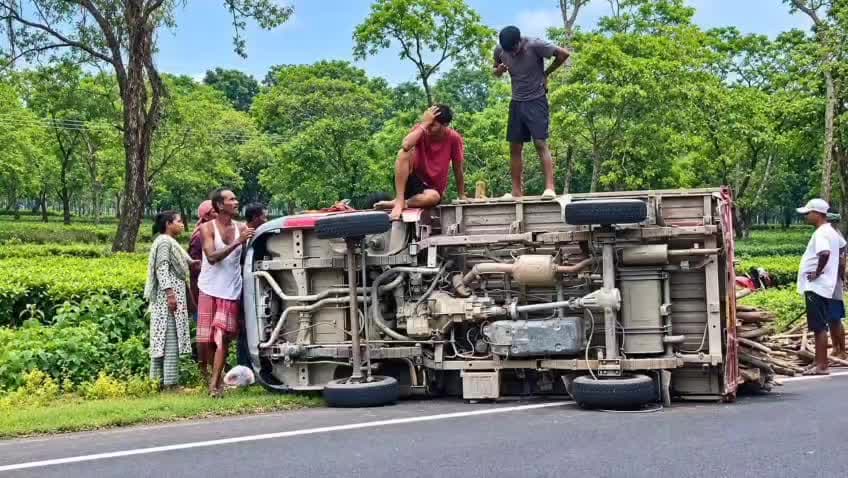 আলিপুরদুয়ার ২: জ্বালানি কাঠ বোঝাই লরি উল্টে গেল বীরপাড়ায়
