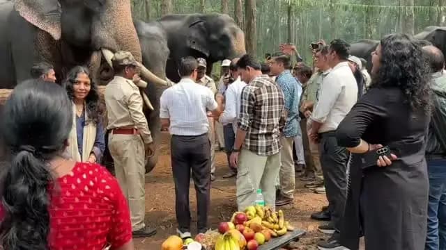 #बालाघाट
कान्हा में सात दिवसीय हाथी रिजुविनेशन कैंप का समापन
विभागीय हाथियों की पूजा-अर्चना कर खिलाए मौसमी फल, गन्ना और मक्का महावतों को किया गया सम्मानित
कान्हा टाइगर रिजर्व के सुपखार परिक्षेत्र में विभागीय हाथियों के स्वास्थ्य, देखभाल एवं समग्र कल्याण के उद्देश्य से आयोजित सात दिवसीय हाथी रिजुविनेशन कैंप का रविवार को गरिमामय समारोह के साथ समापन हुआ। कैंप का आयोजन 14 सितंबर से 20 सितंबर तक किया गया। इस दौरान विभागीय हाथियों को नियमित कार्यों से विश्राम देते हुए उनके स्वास्थ्य परीक्षण, देखभाल एवं पुनर्यौवन पर विशेष ध्यान दिया गया।
#कान्हा_टाइगर_रिजर्व
#CMMadhyaPradesh
#JansamparkMP
#tourismdeptmp