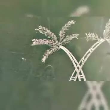 🌟 सेवा संकल्प अभियान 2026
छात्रों में जनसेवा और 'विकसित भारत' का विजन जगाने के लिए सागर के विभिन्न स्कूलों में स्वच्छता अभियान, पौधारोपण और चित्रकला जैसी रचनात्मक गतिविधियों का आयोजन किया गया।
आइए, युवा शक्ति के साथ मिलकर राष्ट्र निर्माण में अपना योगदान दें! 🇮🇳✨#jansamparkMP #sagar #AshirwadKaDiya #SevaSankalp2026