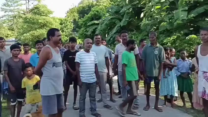 ঢেকিয়াজুলি ভাগ: ঢেকীয়াজুলিৰ ৰতনজুলি গাঁৱত বনৰীয়া হাতীৰ আক্ৰমণৰ ত এগৰাকী লোকৰ মৃত্যু