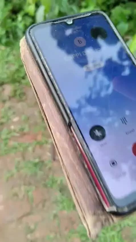বিশালগড়: বিশ্রামগঞ্জের মাফিয়া বাপ্পি দাসের অডিও কল রেকর্ডিং ভাইরাল