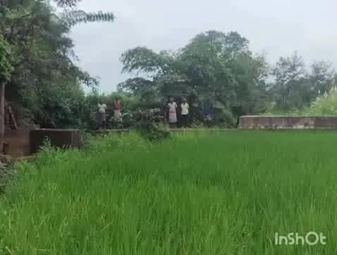 बैकुंठपुर: जोबा पारा में एक स्टाफ दम से खुशहाल हुए दर्जन भर आदिवासी परिवार
