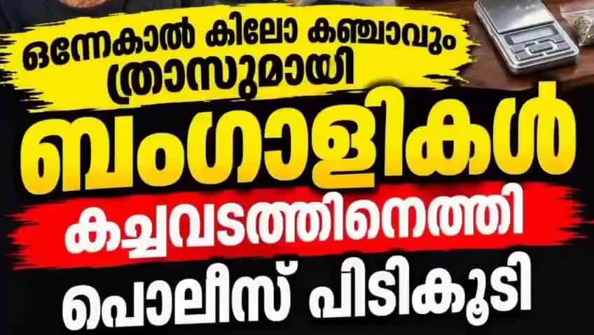 കണയന്നൂർ: കഞ്ചാവും ത്രാസുമായി ബംഗാളി പിടിയിൽ