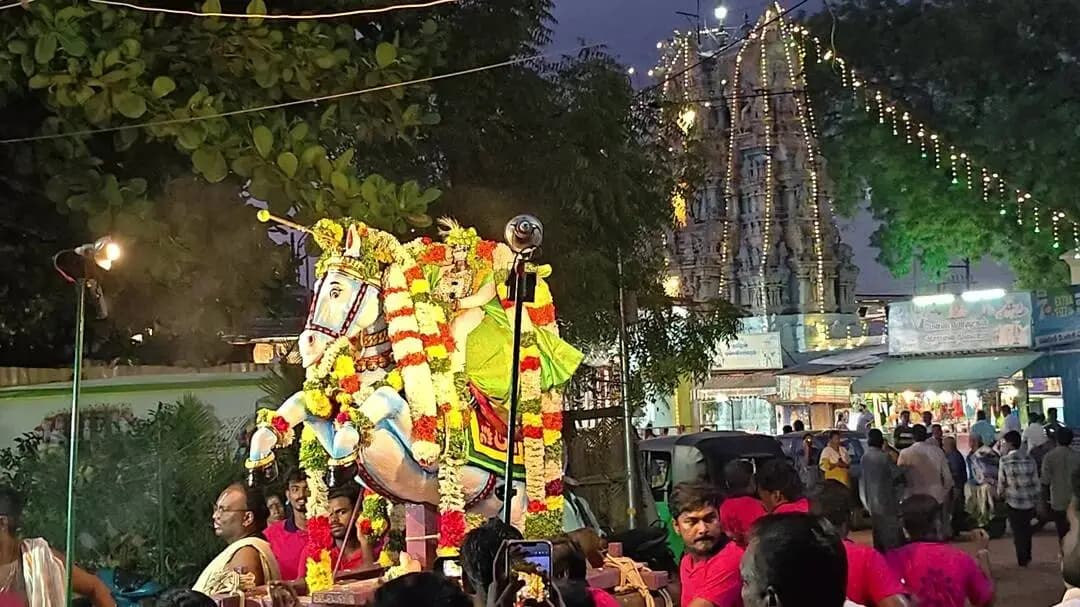 மதுரை கிழக்கு: மதுரை தல்லாகுளம் பிரசன்ன வெங்கடாசலபதி கோவில்: களைகட்டிய குதிரை வாகன புறப்பாடு!