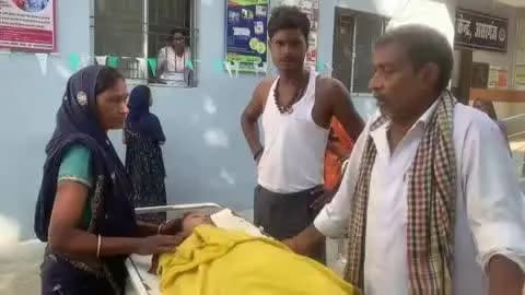 असरगंज: दामोदरपुर गांव में सांप के डसने से 12 वर्षीय किशोरी की मौत, परिवार में कोहराम