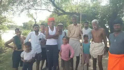 अमृतपुर: वीरपुर के पास रामगंगा नदी में मगरमच्छ ने गाय पर किया हमला, चार गायें खेत पर थीं, एक गाय की हुई मौत