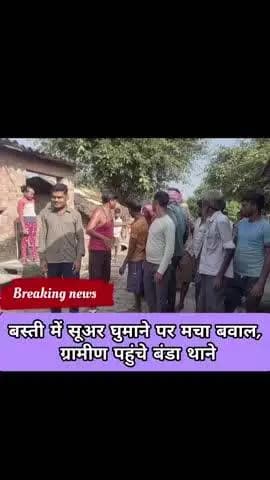 बस्ती से सूअर निकालने को लेकर ग्रामीणों में रोष, थाने में शिकायत
@updetenews @Shahajahanpurnews