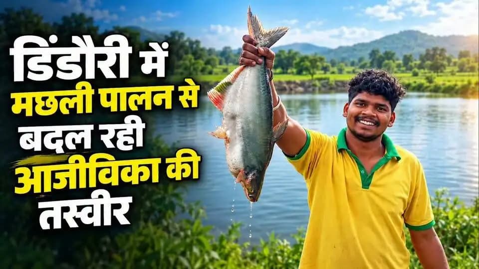 डिंडौरी में मछली पालन से बदल रही आजीविका की तस्वीर
प्रधानमंत्री मत्स्य संपदा योजना
जिले के मछुआरों को मिला मछली पालन को आगे बढ़ाने का अवसर।
घानामार की मछुआ सहकारी समिति के 29 सदस्य
40 एकड़ के जलाशय में सामूहिक रूप से कर रहे मछली पालन।
हर साल करीब 1.50 लाख मत्स्य बीज डाले जाते हैं,
जिससे लगभग 20 क्विंटल मछली का उत्पादन होता है।
समिति को मिल रही करीब 4 लाख रुपये की वार्षिक आमदनी,
वहीं मत्स्य पालन से स्थानीय स्तर पर रोजगार के अवसर भी बढ़े हैं।
योजना का लाभ लेकर कुलजीत धुर्वे ने
4 एकड़ में मछली पालन को बनाया आजीविका का साधन।
उनके फार्म से करीब 14 टन मछली उत्पादन
और लगभग 11 लाख रुपये की वार्षिक आमदनी हो रही है।
मछली पालन से बढ़ी आय, बढ़े रोजगार के अवसर
डिंडौरी में आत्मनिर्भरता की नई तस्वीर।
#sevasankalap #sevasankalapabhiyan2026 #PradhanMantriMatsyaSampadaYojana #Fisheries #MatsyaPalak #Dindori #AatmanirbharMadhyaPradesh #jansamparkdindori #collectordindori