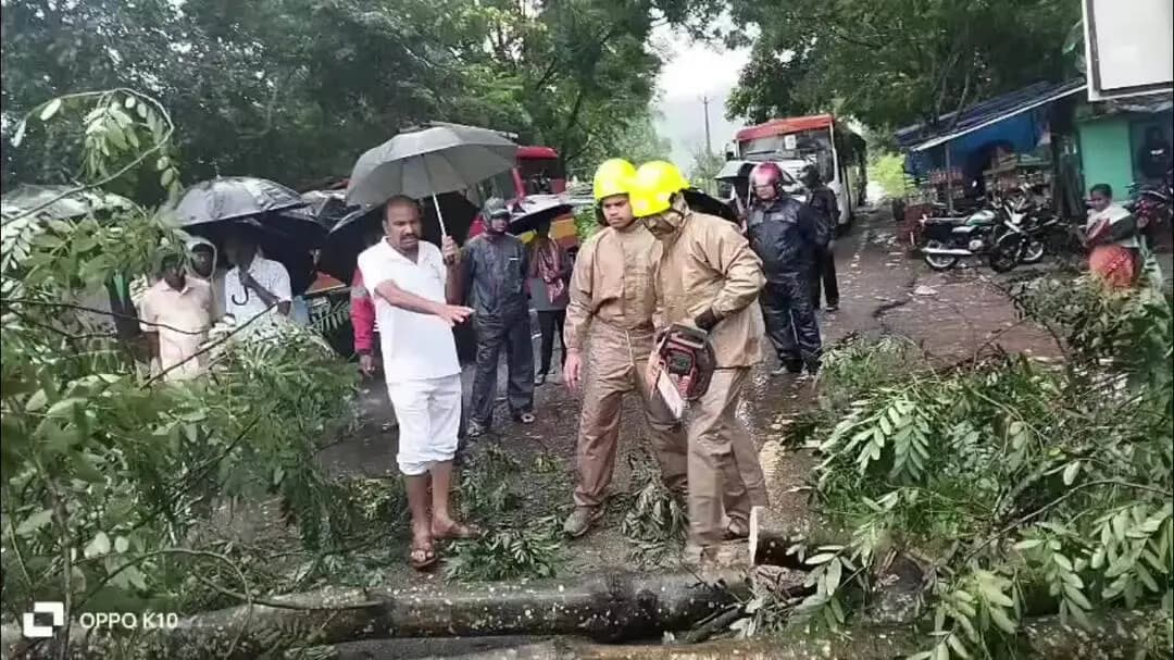 ପାରଳାଖେମୁଣ୍ଡି: ବାତ୍ୟା ପ୍ରଭାବରେ ଗଛ ପଡ଼ି ରାସ୍ତା ଅବରୋଧ, ମୁକାବିଲାରେ ଅଗ୍ନିଶମ ବାହିନୀ