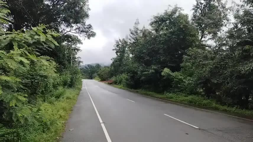 ରାୟଗଡା: ସାମ୍ଭାବ୍ୟ ବାତ୍ୟା ଆସିବ ବୋଲି ରାୟଗଡ଼ା ଜିଲ୍ଲା କୁ ରେଡ୍ ଆଲର୍ଟ,ଜିଲ୍ଲା ପ୍ରଶାସନ ତରଫରୁ ସ୍ଥିତି ଉପରେ ରଖିଛି ନଜର