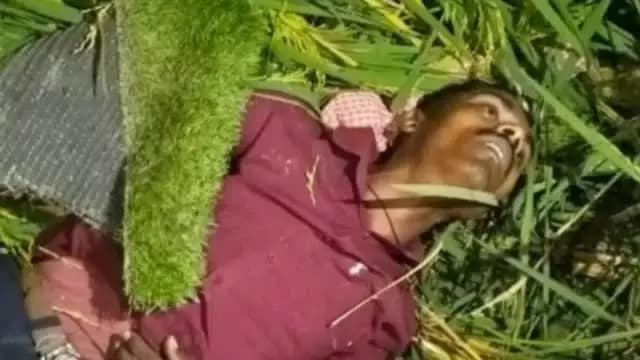 पडरौना: पकड़ी बुजुर्ग मोड़ पर दर्दनाक हादसा, अज्ञात वाहन की टक्कर से राजमिस्त्री की मौत, साथी गंभीर घायल