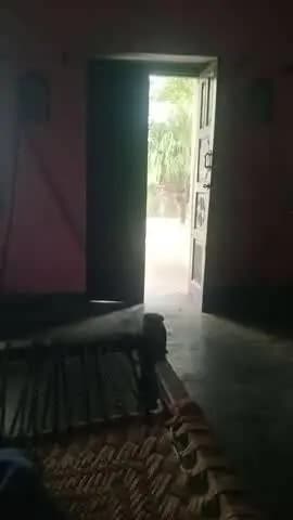 तेज हवा के साथ अच्छा पानी बर्षा जिससे खरीफ फसल को बहुत फायदा होगा -किसानो के चेहरे खिले ।महाराजपुर कानपुर देहात