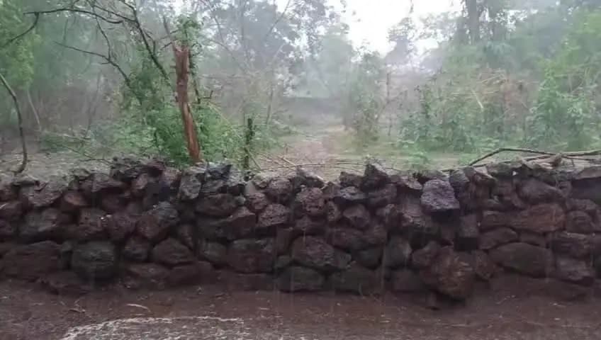 ଝାରସୁଗୁଡା: ଝାରସୁଗୁଡା ଜିଲ୍ଲାରେ ପ୍ରବଳ ବର୍ଷା ନେଇ ପୂର୍ବାନୁମାନ, ୟେଲୋ ସତର୍କତା ଜାରି କଲା ଭୁବନେଶ୍ୱର ସ୍ଥିତ ଆଞ୍ଚଳିକ ପାଣିପାଗ ବିଭାଗ