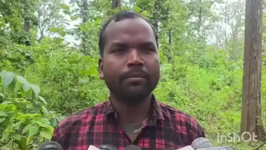 अंबिकापुर: सरगुजा के लालमाटी चन्द्रा जंगल में पेड़ों की अंधाधुंध कटाई का आरोप वन विभाग पर, जानकारी देते वन समिति अध्यक्ष दशरत