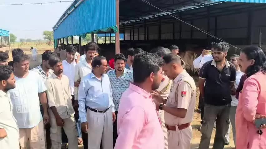 चिड़ावा: भोमपुरा के नजदीक संचालित डेयरी के अंदर का मंजर देख आप हिल जाएंगे, कई गायें मृत मिलने पर फूटा आक्रोश