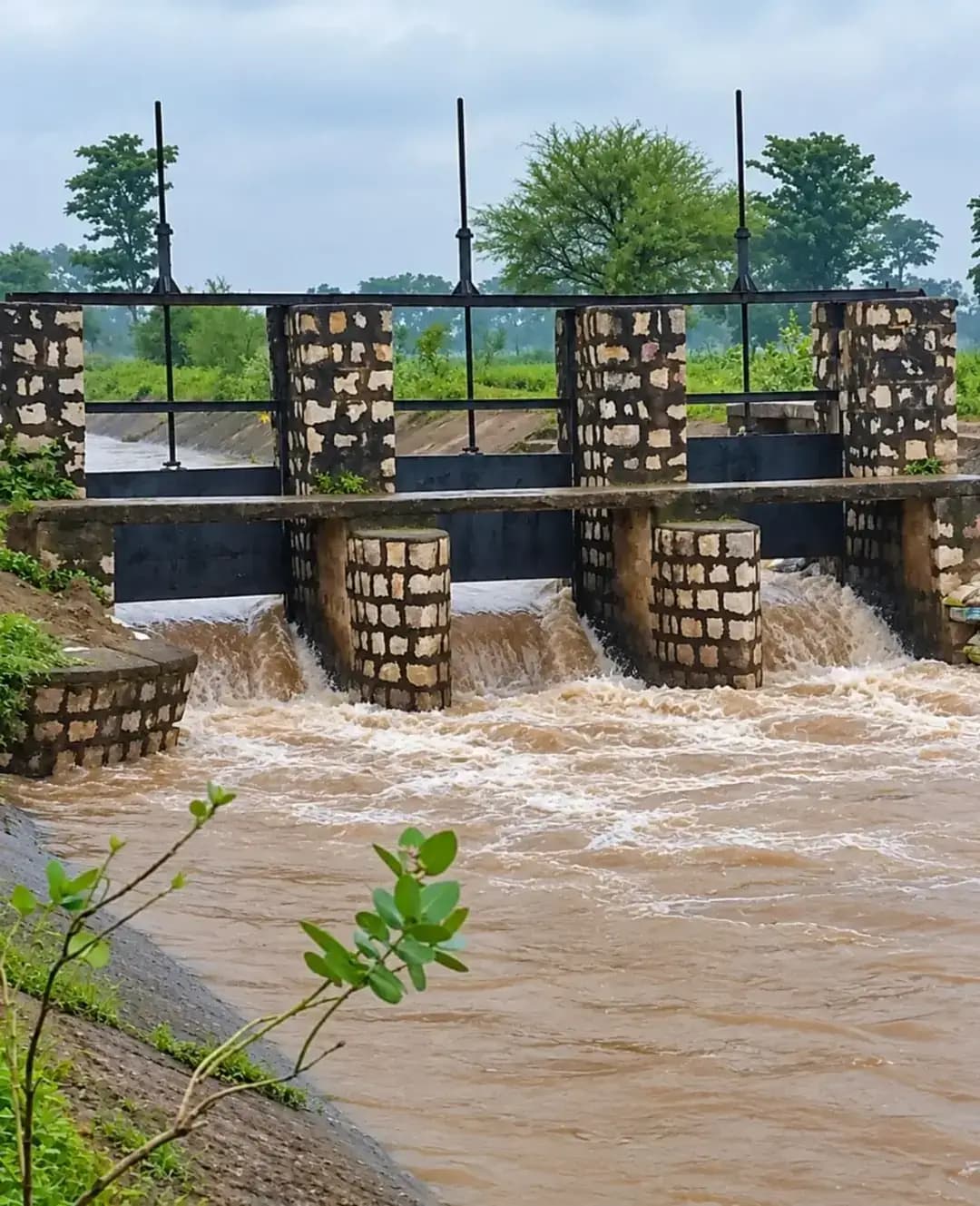 सेवा संकल्प अभियान 2026 के तहत जल संसाधन विभाग द्वारा ‘जल जन सेवा संकल्प’ के माध्यम से पैरी परियोजना की राजिम वितरक शाखा नहर प्रणाली से अंतिम छोर तक पानी पहुंचाकर किसानों को खरीफ फसलों की सिंचाई सुविधा उपलब्ध कराई जा रही है।
नहर के अंतिम छोर तक जल पहुंचने से परसदा, पोखरा, रावड़, बकली, बासीन, रक्सा एवं खपरीपार सहित ग्रामों के किसानों को सिंचाई में सुविधा मिली है।
जल प्रबंधन के साथ किसान सेवा को प्राथमिकता—सेवा संकल्प अभियान 2026 के तहत निरंतर प्रयास।
#सेवा_संकल्प_अभियान #जलप्रबंधन #सिंचाई #किसानसेवा #Gariyaband
