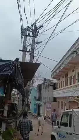 करौली: इंदिरा कॉलोनी में करंट की चपेट में आने से महिला घायल, मौके पर दो भैंसों की हुई मौत