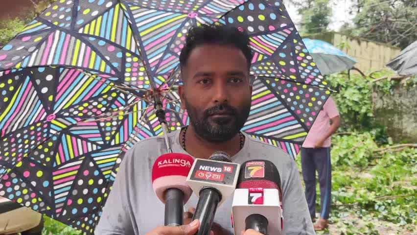 କୋରାପୁଟ: କୋରାପୁଟ ବୃନ୍ଦାବନ କଲୋନୀରେ ଗଛ ପଡ଼ି କାର ଚୁରମାର, ପ୍ରତିକ୍ରିୟା ରଖିଛନ୍ତି କାର ମାଲିକ