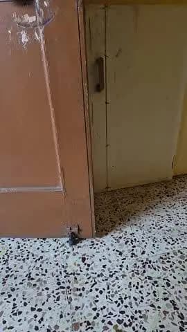 hhhhhgykjcfunvgkjhggyuijhhhyuu