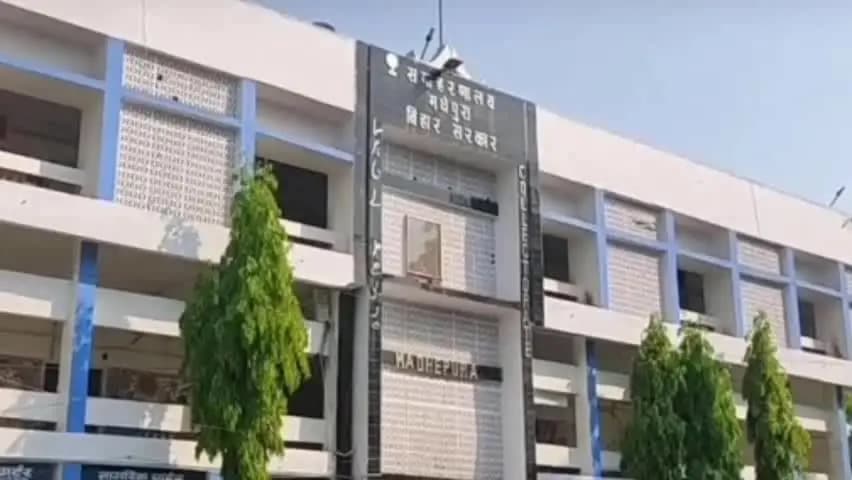 गम्हरिया: तेज आंधी-पानी में घर पर गिरा विशालकाय कदम का पेड़, महिला घायल