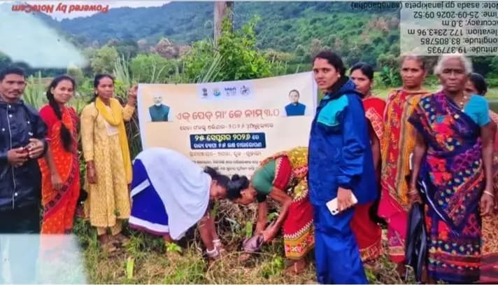 ରାୟଗଡା: ଗୁଡ଼ାରୀ ବ୍ଲକ ଅସଡ଼ା ପଞ୍ଚାୟତରେ 'ମାଆଙ୍କ ନାମରେ ଗଛଟିଏ' କାର୍ଯ୍ୟକ୍ରମ