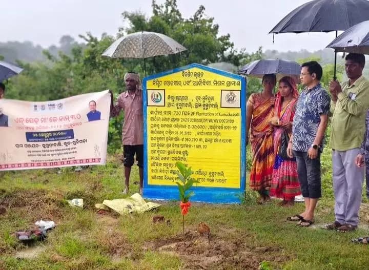 ରାୟଗଡା: ମୁନିଗୁଡ଼ା: କୁମୁଡାବାଲି ପଞ୍ଚାୟତରେ ହେଲା ବୃକ୍ଷ ରୋପଣ କାର୍ଯ୍ୟକ୍ରମ