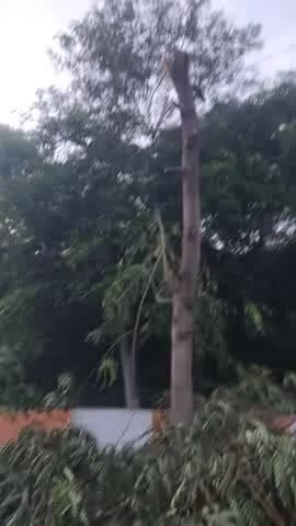 " यह विडियो कपासन रोड जिंकनगर के बाहर का है।