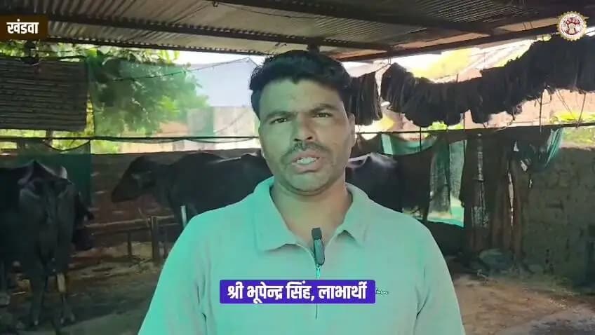#सफलता_की_कहानी
"मुख्यमंत्री डेयरी प्लस योजना" भूपेंद्र के लिए बनी आर्थिक संबल
----
दो मुर्रा भैंसों से शुरू हुआ डेयरी व्यवसाय, नियमित आमदनी से परिवार की आर्थिक स्थिति हुई मजबूत
Jansampark Madhya Pradesh
General Administration Department, MP
Department of Animal Husbandry, Madhya Pradesh
#SevaSankalpAbhiyan
#सेवा_संकल्प_अभियान
#khandwa