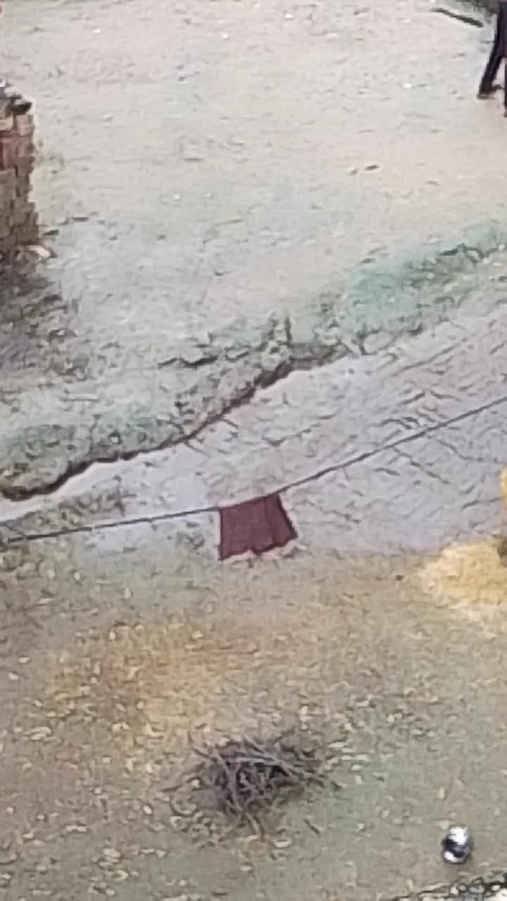 बरहा कला ग्राम प्रधान चोर सड़क नाली सब खा गया