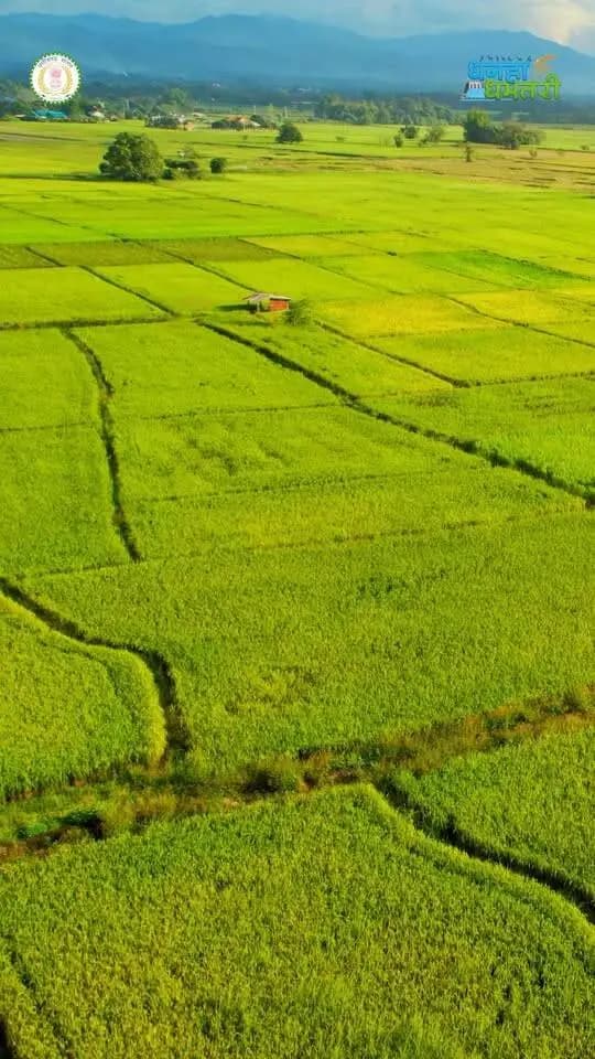 कृषि में नवाचार, किसानों की सुविधा और आधुनिक तकनीक की ओर एक नई पहल।
धमतरी जिला प्रशासन द्वारा 10 प्राथमिक कृषि साख सहकारी समितियों में ड्रोन स्प्रेयर सुविधा प्रारंभ की गई है। इस अभिनव पहल के साथ धमतरी देश का पहला जिला बन गया है, जहां सहकारी समितियों के माध्यम से किसानों को ड्रोन आधारित कृषि सेवाएं उपलब्ध कराई गई है।
#Drone #agriculture #technology #dhamtari #Chhattisgarh