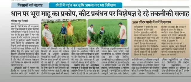 धान पर भूरा माहू का प्रकोप,कीट प्रबंधन पर विशेषज्ञ दे रहे तकनीकी सलाह।
#JansamparkMP
#CMMadhyaPradesh
@DrMohanYadav51
Uday Pratap Singh
@Aidalsinghkbjp
Agriculture Department, MP
@jbpcommissioner
#katni #कटनी