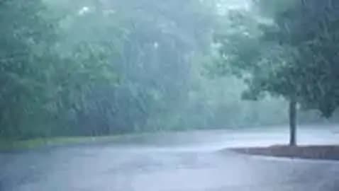 कोटाडोल: मनेन्द्रगढ़-चिरमिरी-भरतपुर जिले में इस मानसून 1199.5 मिमी बारिश रिकॉर्ड