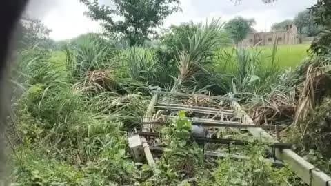 भदोही: ऑरेंज अलर्ट के बीच भदोही में झमाझम बारिश, जनजीवन हुआ प्रभावित